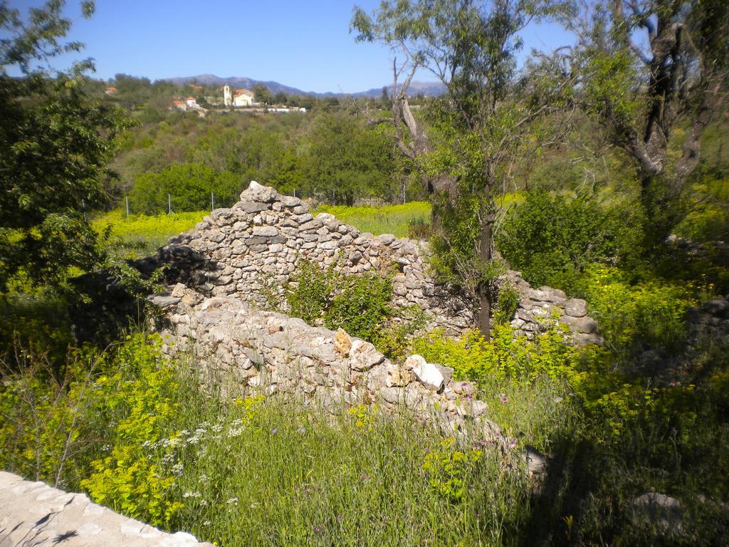Poúlithra Arcadian Stone House In A Quiet Landscape, Leonidionヴィラ エクステリア 写真